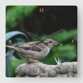 Relógio Quadrado House Sparrow toma uma bebida.
