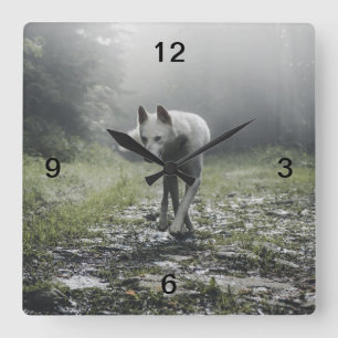 Relógio Quadrado Husky Siberiano Branco