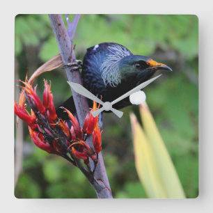Relógio Quadrado Iconic NZ Tui bird