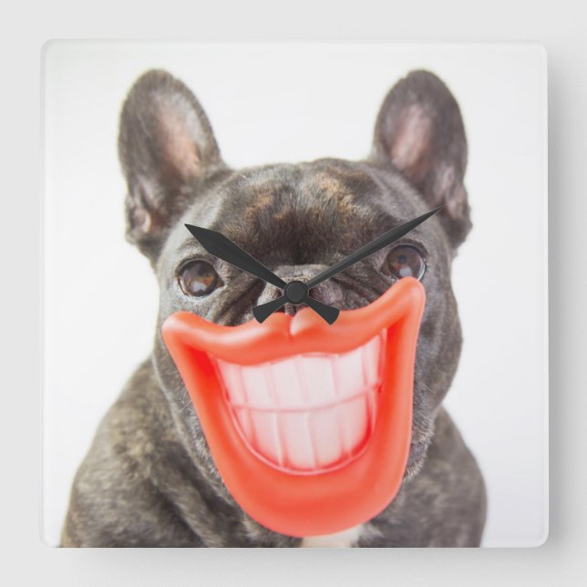 Relógio Quadrado Imagens Getty | Um Cachorro Sorridente (Frente)