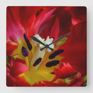 Relógio Quadrado Interior da flor de tulipa de papagaio