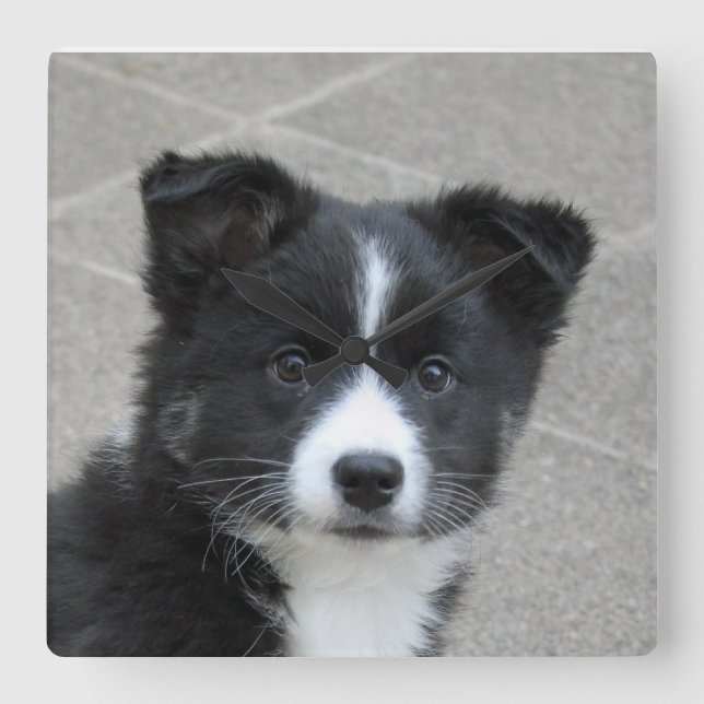 Relógio Quadrado Islandhund (Frente)