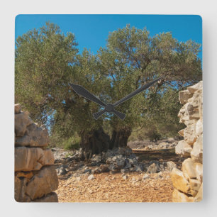 Relógio Quadrado Jardins Olivais de Lun