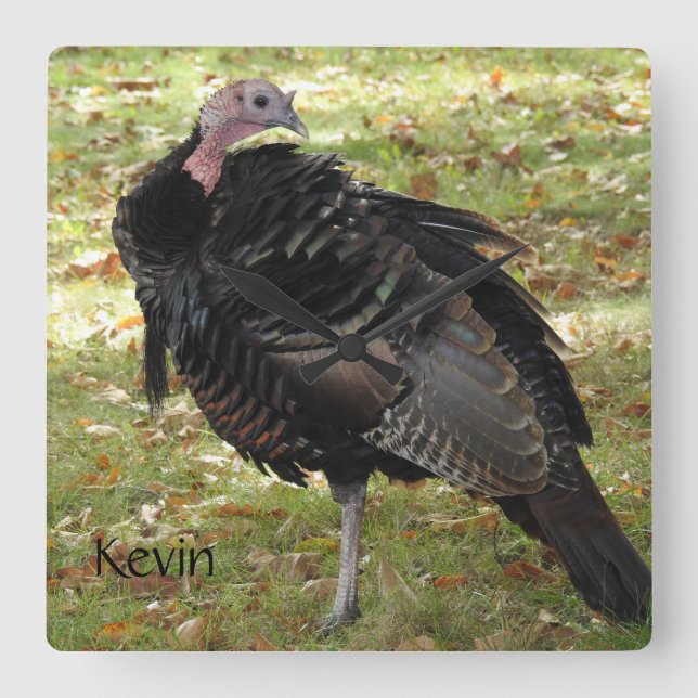 Relógio Quadrado Kevin The Turkey - Old Wethersfield, CT (Frente)