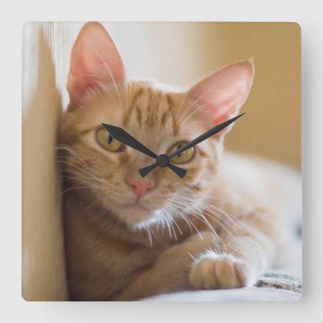 Relógio Quadrado Kitten Deitado No Sofá (Frente)