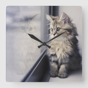 Relógio Quadrado Kitten Olhando Para A Janela