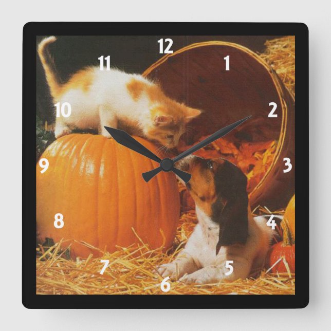 Relógio Quadrado Kitten, Pumpkin e Puppy Wall Clock (Frente)