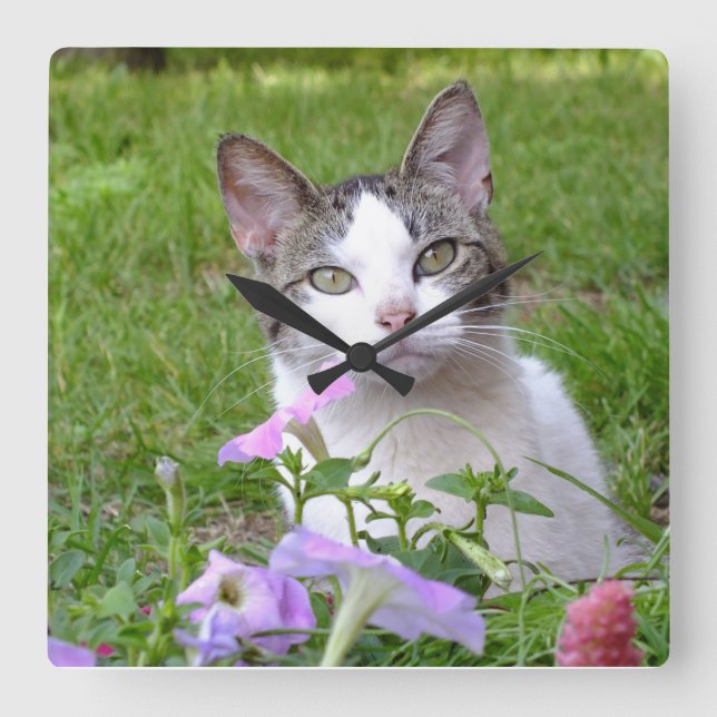 Relógio Quadrado Kitty in the Petunias Wall Clock (Frente)
