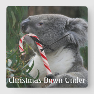 Relógio Quadrado Koala bonito que come o bastão de doces