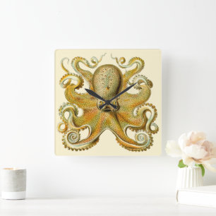 Relógio Quadrado Kraken Antigo, Polvo Gamochonia, Ernst Haeckel