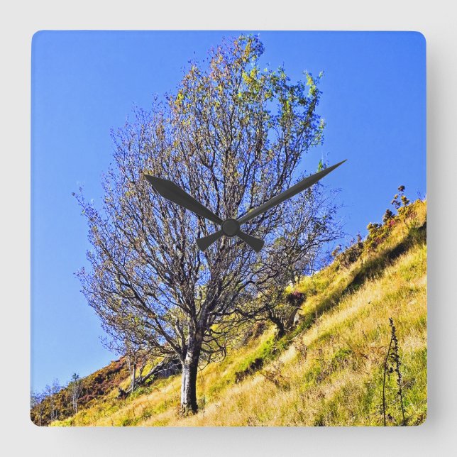 RELÓGIO QUADRADO L0NE TREE (Frente)