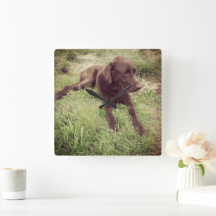 Relógio Quadrado Laboratório do chocolate que encontra-se na