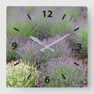 Relógio Quadrado Lavanda adorável