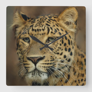 Relógio Quadrado Lepard Lovers Art