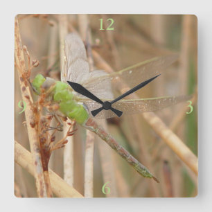 Relógio Quadrado Libélula Verde I1