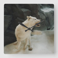 Lobo Branco