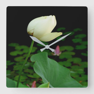 Relógio Quadrado Lotus Water Lily Bud