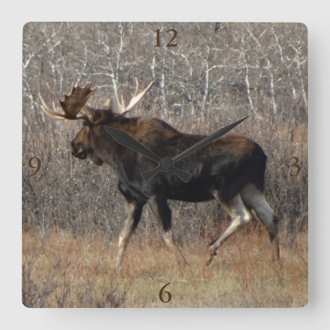 Relógio Quadrado M8 Bull Moose (Frente)