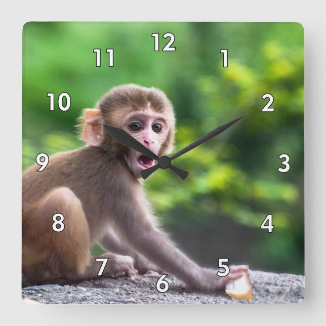 Relógio Quadrado Macaco-bebê bonito e adorável (Frente)