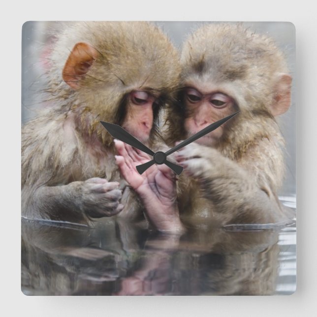Relógio Quadrado Macacos pequenos | Hot Springs, Japão (Frente)