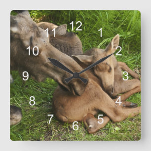 Relógio Quadrado Mãe Moose