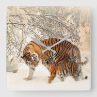 Mãe-Tigre e Bonita com Bebê na Neve
