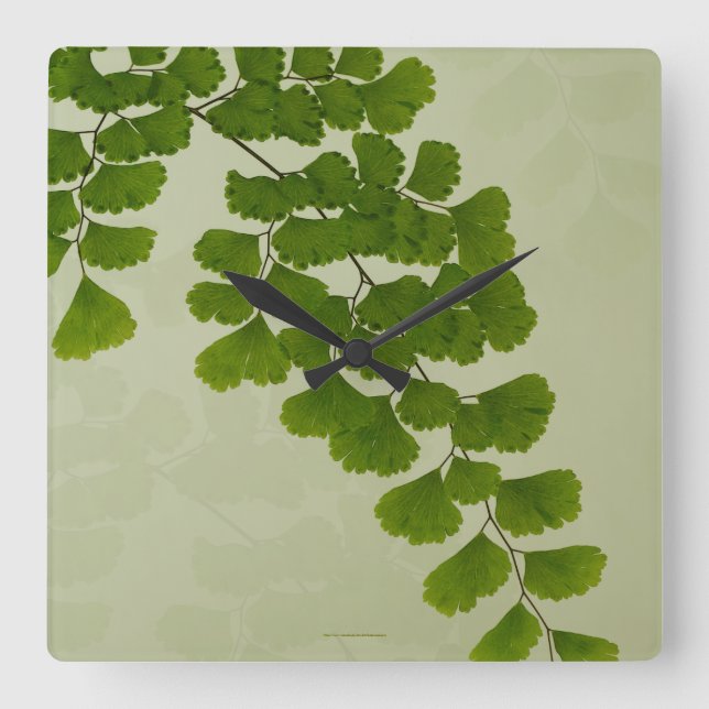Relógio Quadrado Maiden Hair Fern Frond (Frente)