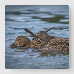 Relógio Quadrado Mallard