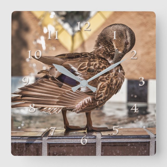 RELÓGIO QUADRADO MALLARD DUCK GETAWAY RESORT SPA (Frente)