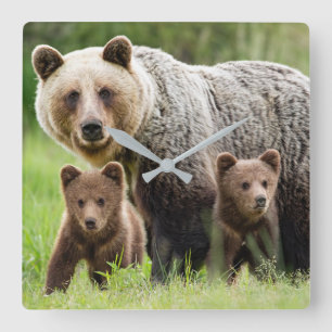 Relógio Quadrado Mamãe e Bebês Grizzly Bears Square Wall Clock