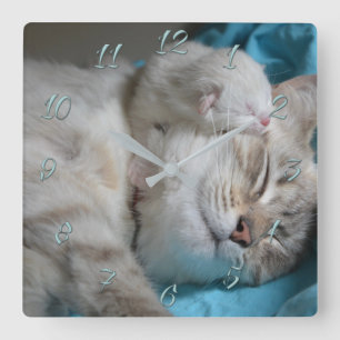 Relógio Quadrado Mamãe e gatinhos
