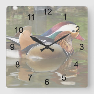 Relógio Quadrado Mandarin Duck