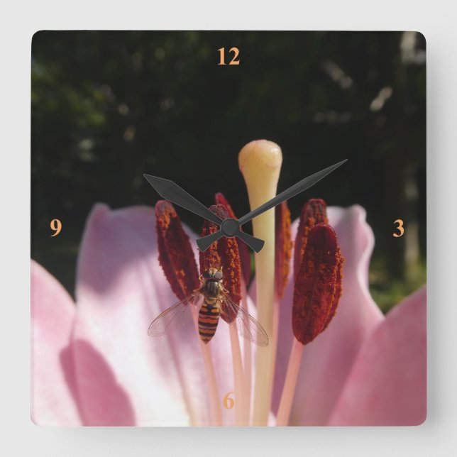 Relógio Quadrado Marmalade Hoverfly - Episyrphus balteatus (Frente)