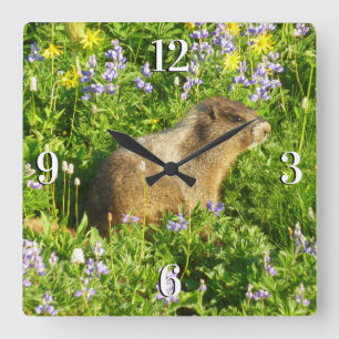 Relógio Quadrado Marmot no Monte Rainier Wildflower