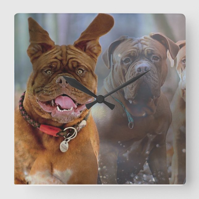 Relógio Quadrado Mastiff Plus (Frente)