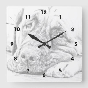 Relógio Quadrado Mastiff preguiçoso