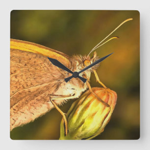 Relógio Quadrado Meadow Brown Beauily Button Art
