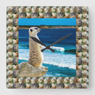 Relógio Quadrado Meerkat Sentry A Ver Peixes Na Praia,