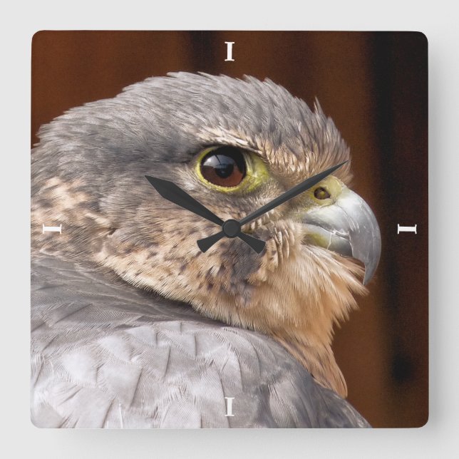 RELÓGIO QUADRADO MERLIN FALCON BIRD OF PREY (Frente)