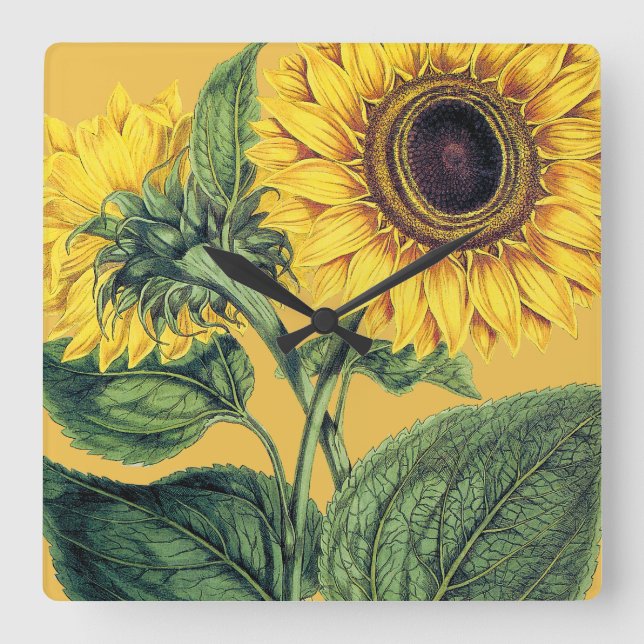 Relógio Quadrado Miller: Girassol (Frente)