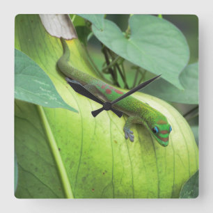 Relógio Quadrado Mistura dentro