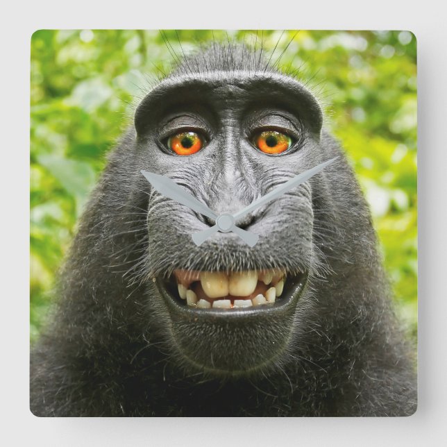 Relógio Quadrado Monkey Selfie (Frente)