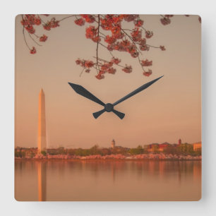 Relógio Quadrado Monumento de Washington Sakura no por do sol