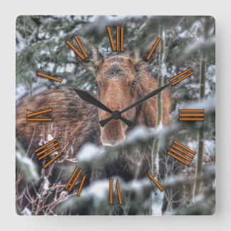 Relógio Quadrado Mose Selvagem Canadiana na Floresta de Inverno
