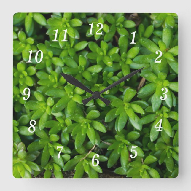 Relógio Quadrado Moss Abstrato Wall Clock (Frente)