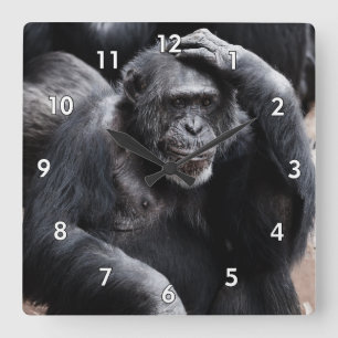 Relógio Quadrado Muito Legal Ape / Gorilla Arranhando A Cabeça
