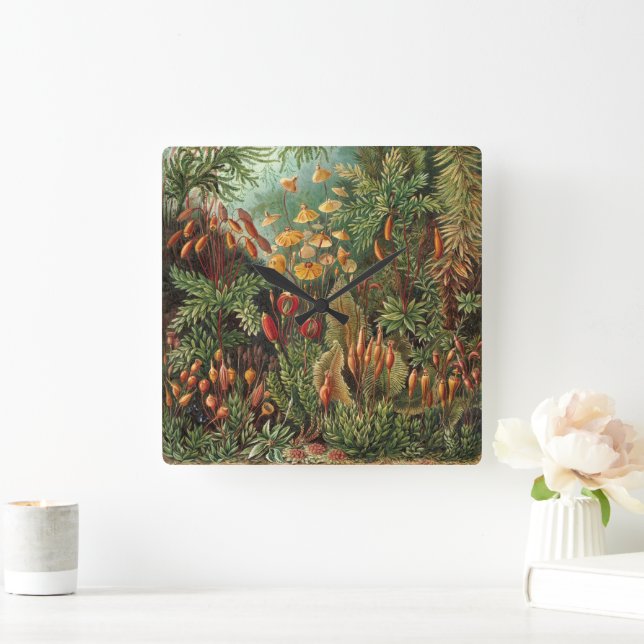 Relógio Quadrado Muscinae Antigos, Plantas de Musgo por Ernst Haeck (Lar)