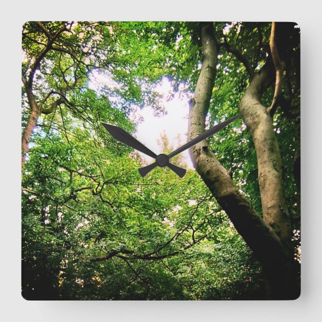 Relógio Quadrado Na floresta (Frente)