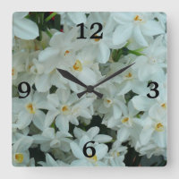 Narciso Branco Delicado de Paperwhite Flores