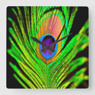 Relógio Quadrado Neon Colors Peacock Feather
